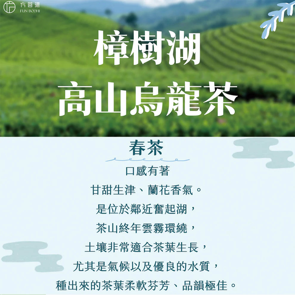 方菩提 阿里山樟樹湖高山烏龍春茶 半斤/一斤 附提袋