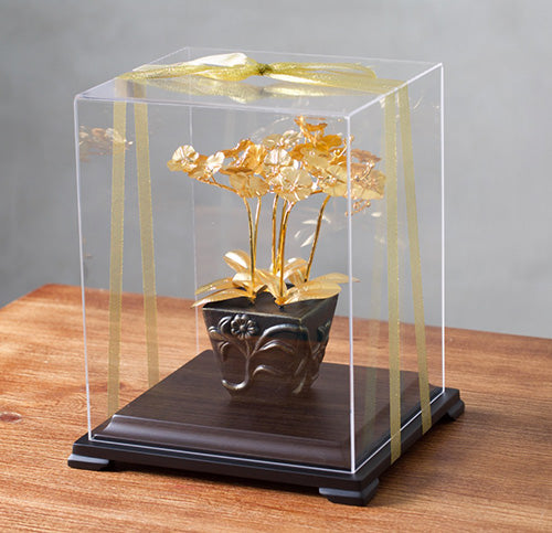 【可客製】凱馨 金箔蝴蝶蘭 (6枝裝)