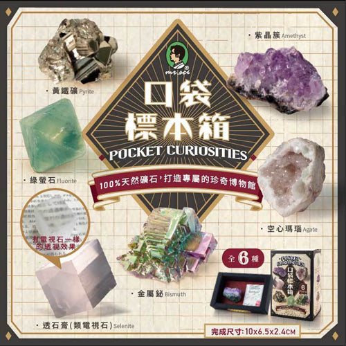 賽先生科學工廠 口袋標本箱 礦石系列 (六款隨機出貨)