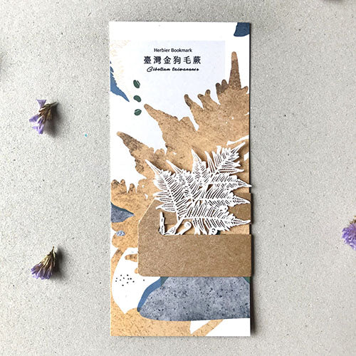 款式圖-臺灣金狗毛蕨