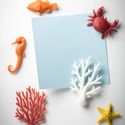 泰國 QUALY 熱帶海洋磁鐵