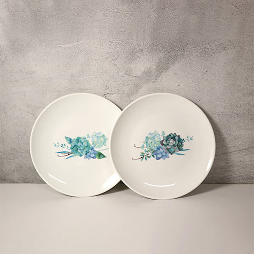 款式圖-解憂多肉植物6.5吋骨瓷盤