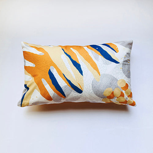 款式圖-臺灣水龍骨