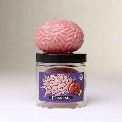 賽先生科學工廠 標本大腦擠壓發洩球(自)