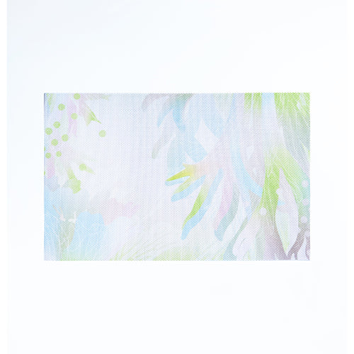 款式圖-爪哇鹿角蕨