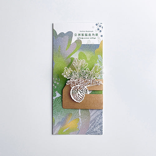 款式圖-亞洲猴腦鹿角蕨