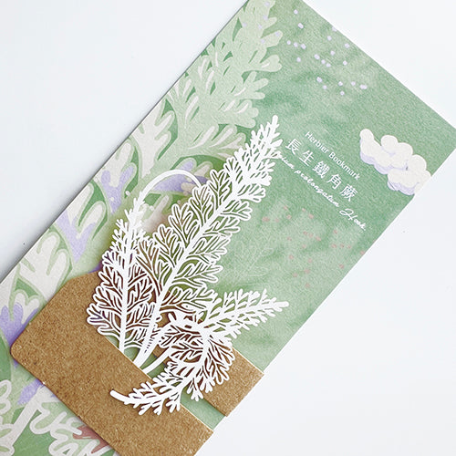 款式圖-長生鐵角蕨