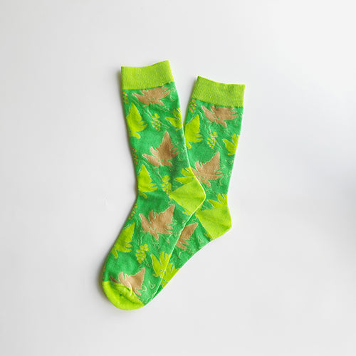 款式圖-過溝菜蕨