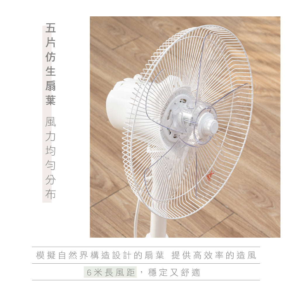 【KINYO】14吋旋鈕式AC循環扇/升降風扇