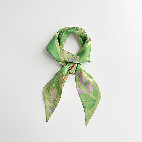 款式圖-長生鐵角蕨