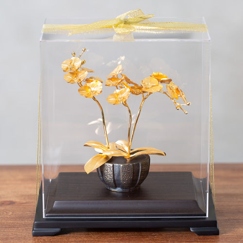 凱馨 金箔蝴蝶蘭 (3枝裝)