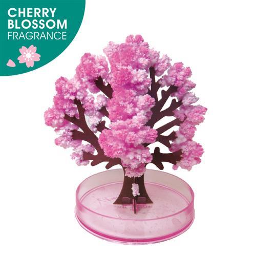賽先生科學工廠 神奇櫻花 15cm(自)