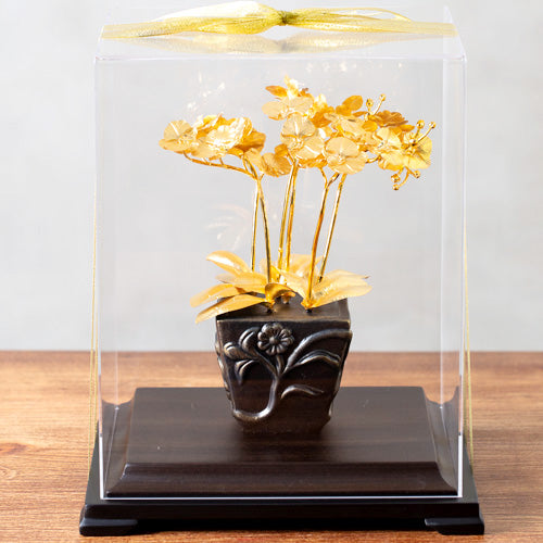 【可客製】凱馨 金箔蝴蝶蘭 (6枝裝)