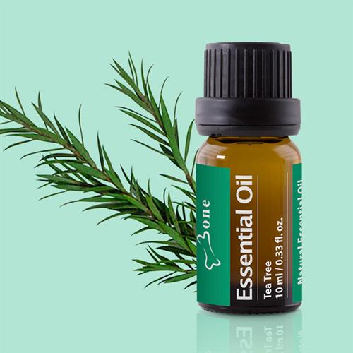 Bone Tea Tree 茶樹精油 10ml