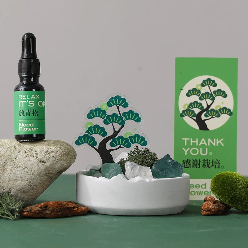 創意小物館 萬事青松香薰水晶擴香石禮盒