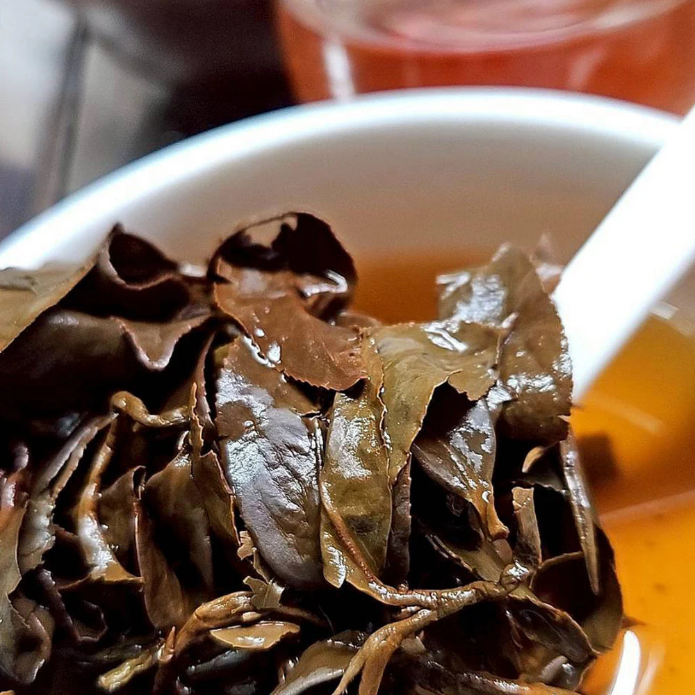 方菩提 GABA 龍韻甘露 3克 茶包 金萱茶葉基底 (低含量咖啡因) 機能茶飲 50包組