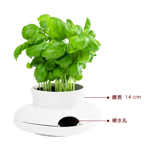 瑞典 Sagaform 香草植物栽培瓶(S)