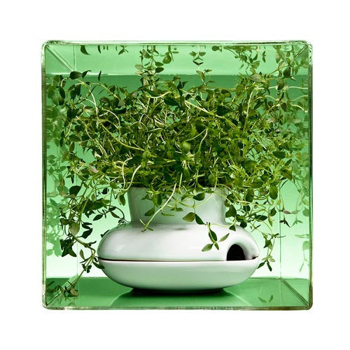 瑞典 Sagaform 香草植物栽培瓶(S)