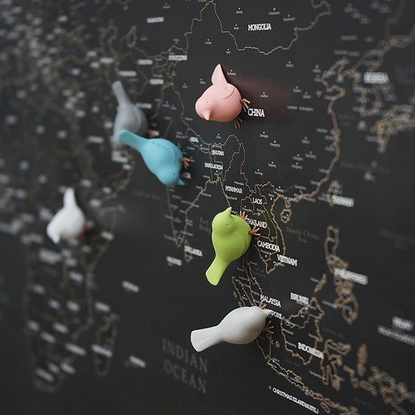 QUALY 迷你雀兒磁鐵