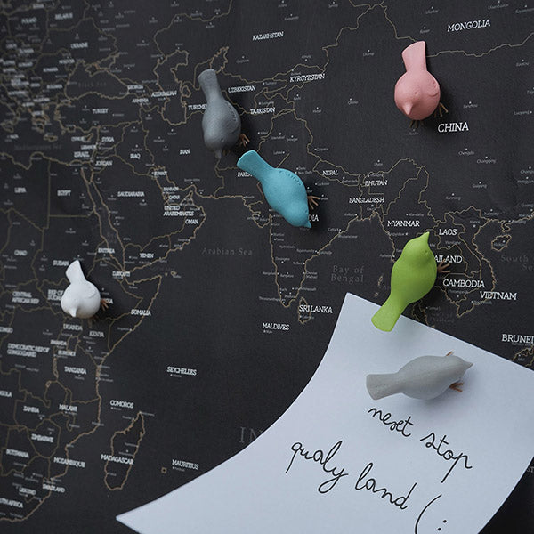 QUALY 迷你雀兒磁鐵