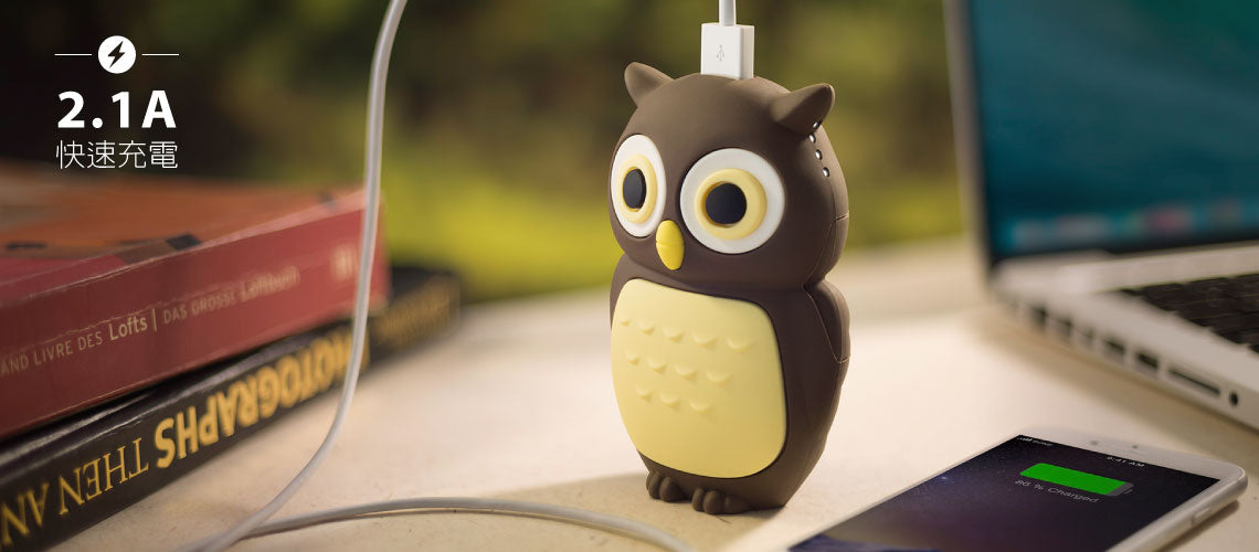 Bone 公仔行動電源 6700/ LED 燈組-貓頭鷹