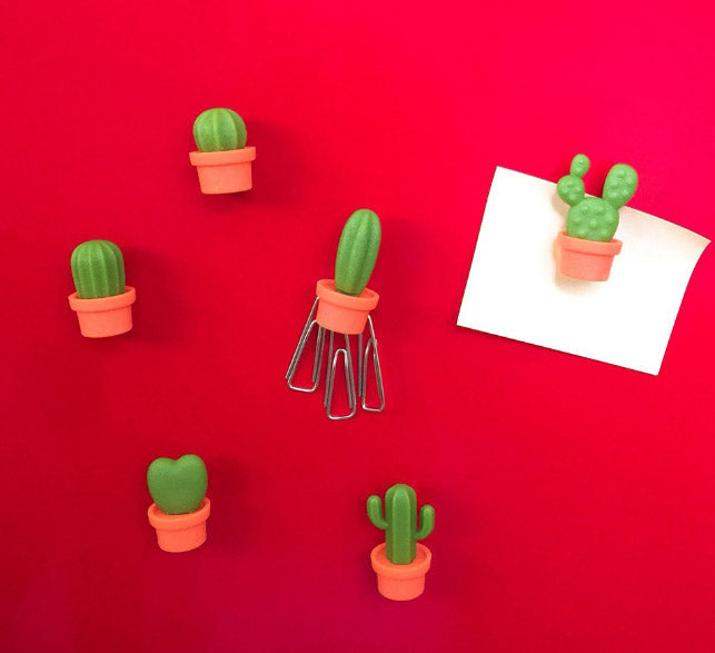 QUALY 仙人掌磁鐵 橘