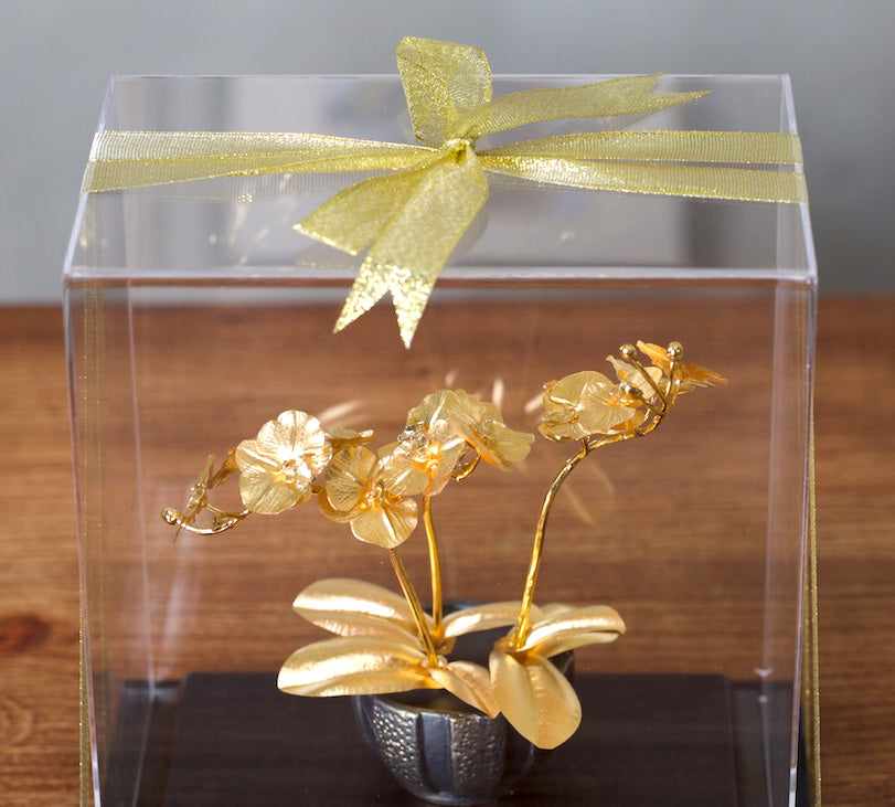 凱馨 金箔蝴蝶蘭 (3枝裝)