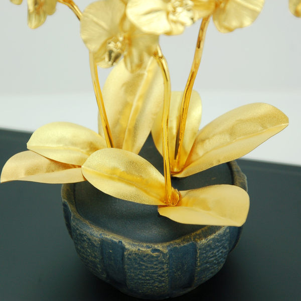 凱馨 金箔蝴蝶蘭 (3枝裝)