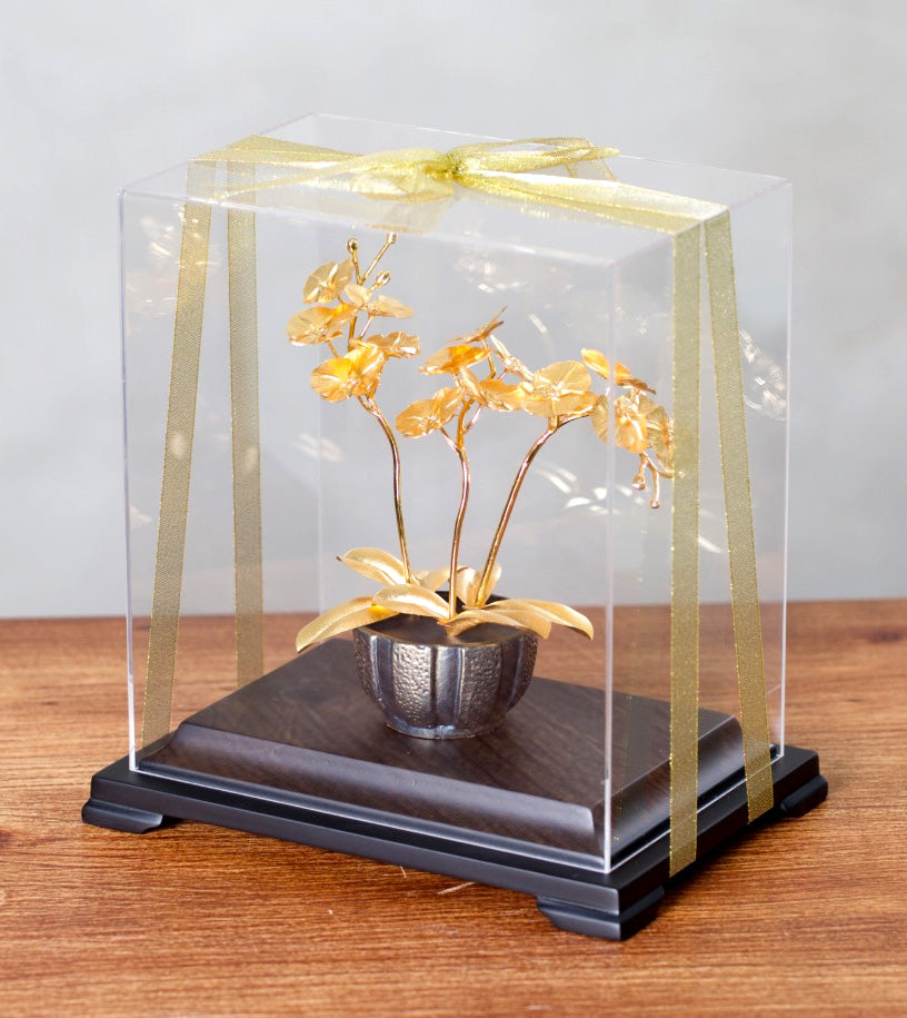 凱馨 金箔蝴蝶蘭 (3枝裝)