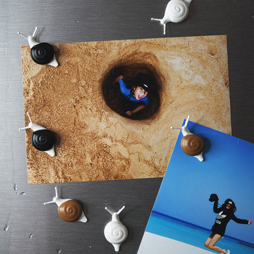 QUALY 小蝸牛磁鐵(六入一組)