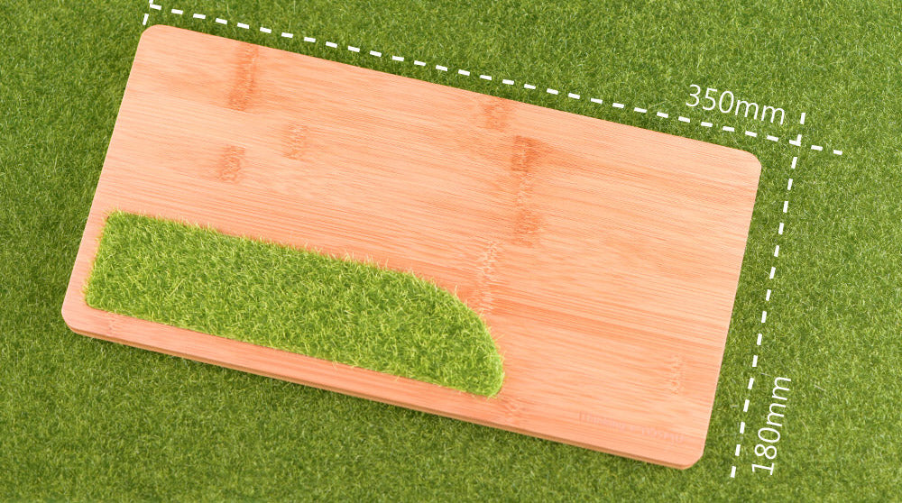 iThinking 【置物盤系列】微風吹過青草地M