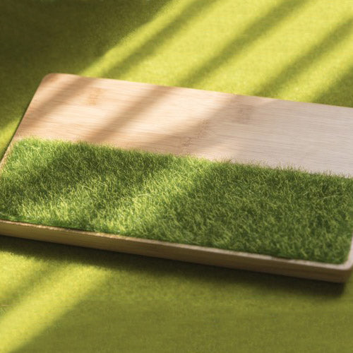 iThinking 【置物盤系列】微風吹過青草地S