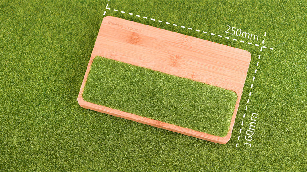 iThinking 【置物盤系列】微風吹過青草地S