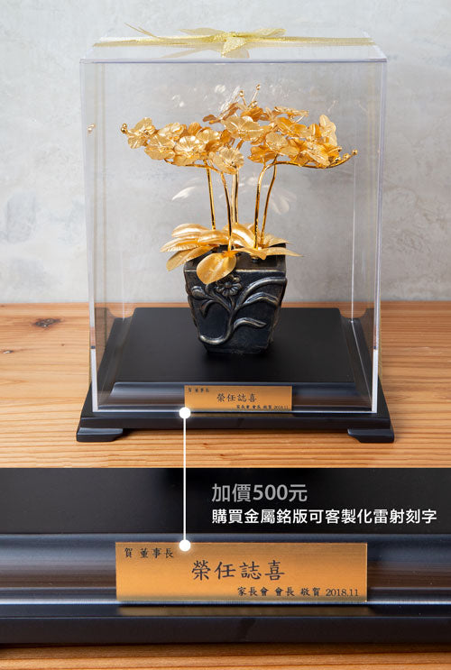 【可客製】凱馨 金箔蝴蝶蘭 (6枝裝)