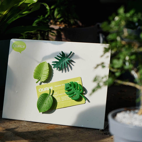 QUALY 熱帶派對磁鐵