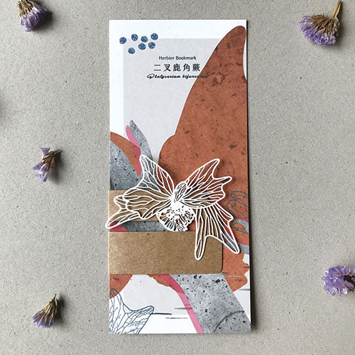 款式圖-二叉鹿角蕨