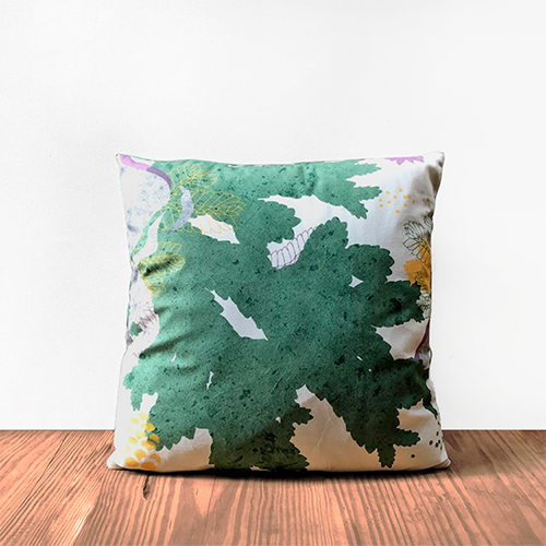 款式圖-生根卷柏