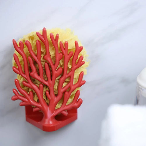 泰國 QUALY 珊瑚海綿架-