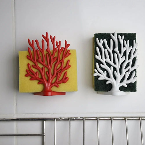 泰國 QUALY 珊瑚海綿架-