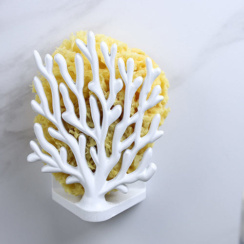 泰國 QUALY 珊瑚海綿架-