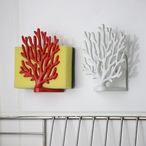 泰國 QUALY 珊瑚海綿架-