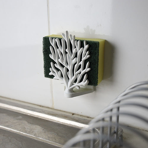 泰國 QUALY 珊瑚海綿架-