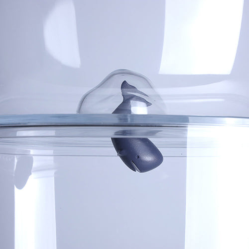 泰國 QUALY 鯨魚儲物箱(3.5L)