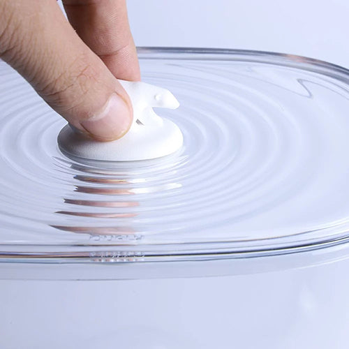 泰國 QUALY 北極熊儲物箱(3.5L)