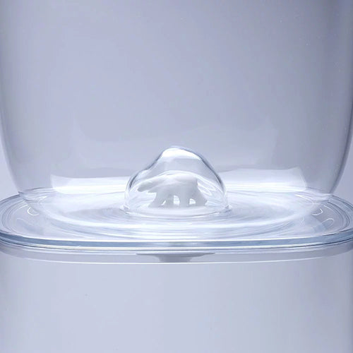 泰國 QUALY 北極熊儲物箱(3.5L)