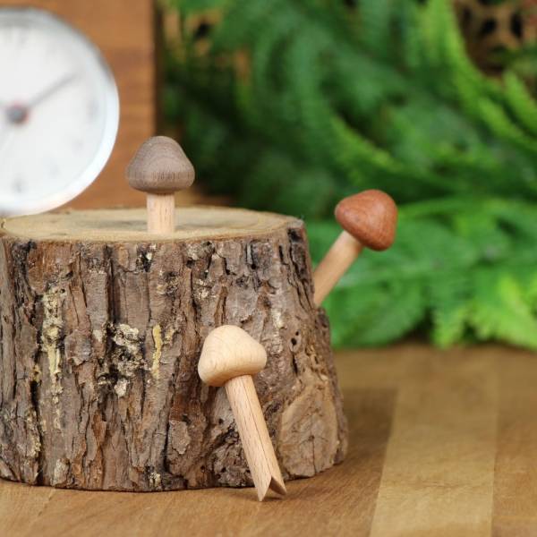 木匠兄妹 蘑菇零食夾