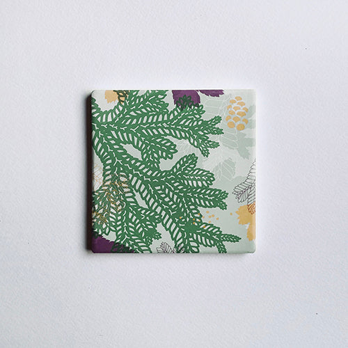 款式圖-生根卷柏