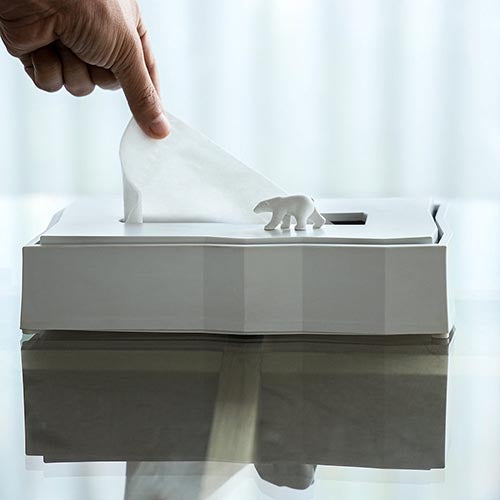 泰國 Qualy 北極熊-衛生紙盒