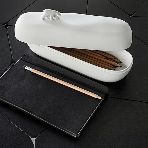 泰國 Qualy 北極熊-置物盒