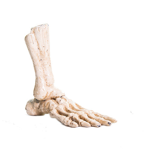 賽先生科學工廠 鑄鐵骷髏腳造型筆座 skeleton